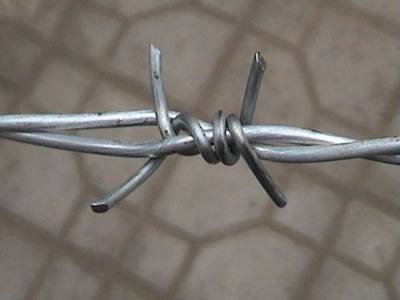 traditional twist barbed wire (galvanized)